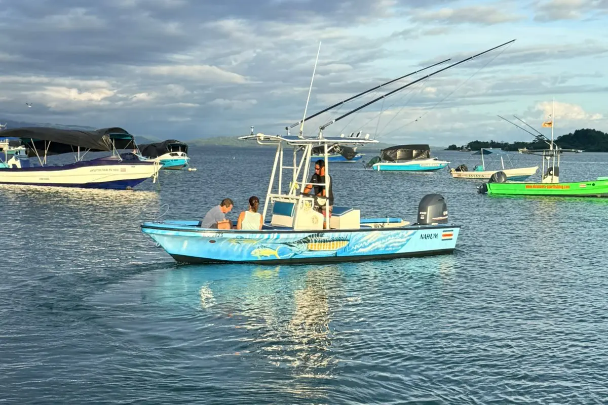 Transfer de Bote - Image 1