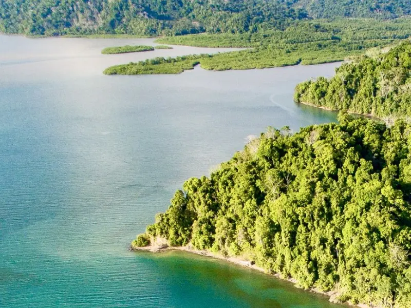 Esquinas river boat tour in Osa Peninsula