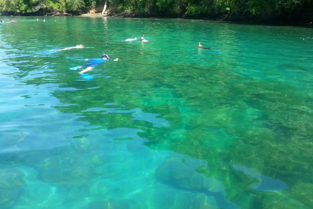 Snorkeling & Dolphin Watch Tour - Image 5
