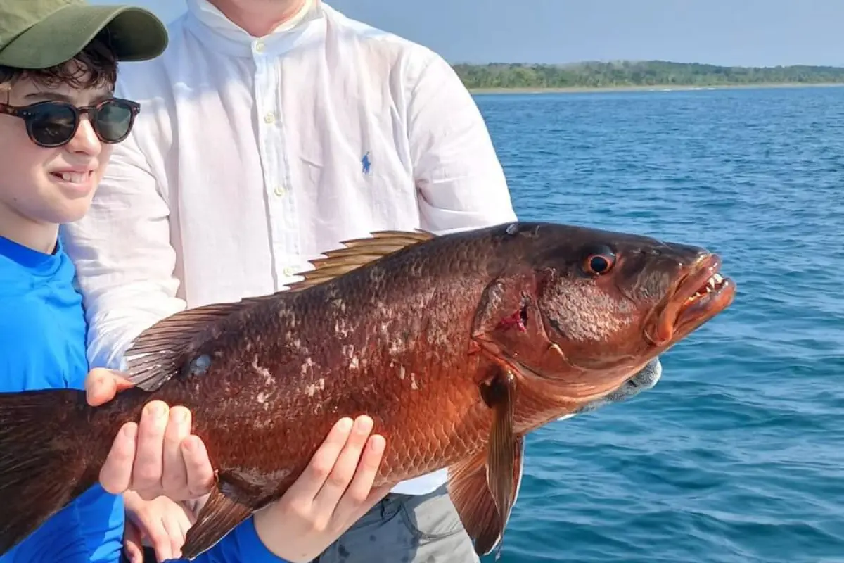Medio día de Pesca Deportiva - Image 1
